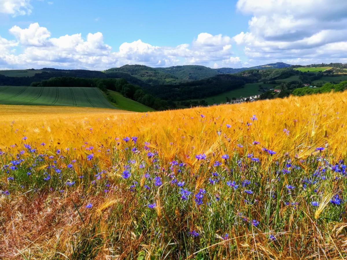 Ferienwohnung Heideblick Volkesfeld エクステリア 写真