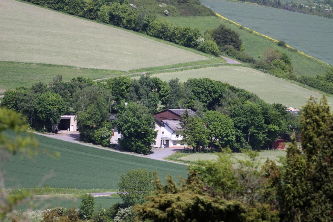 Ferienwohnung Heideblick Volkesfeld エクステリア 写真