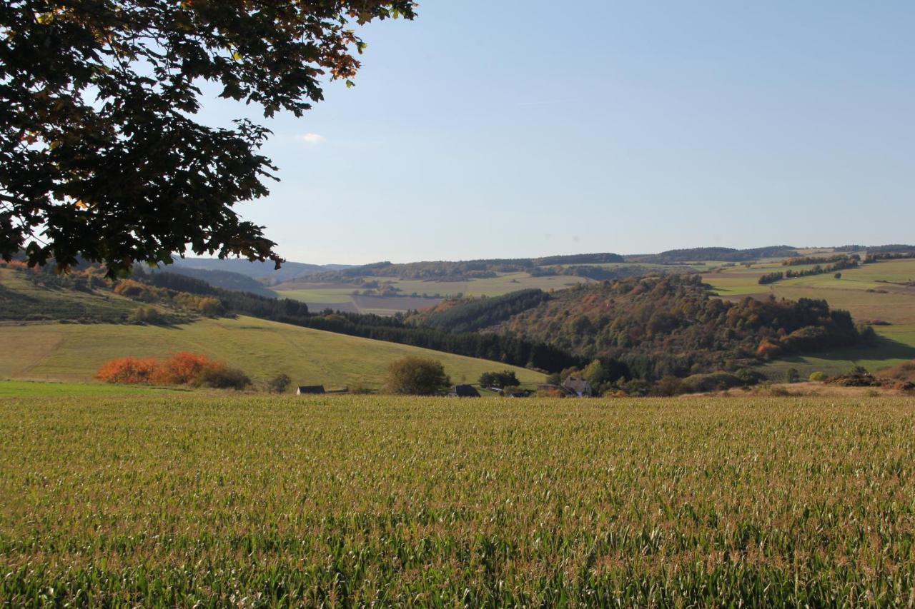 Ferienwohnung Heideblick Volkesfeld エクステリア 写真